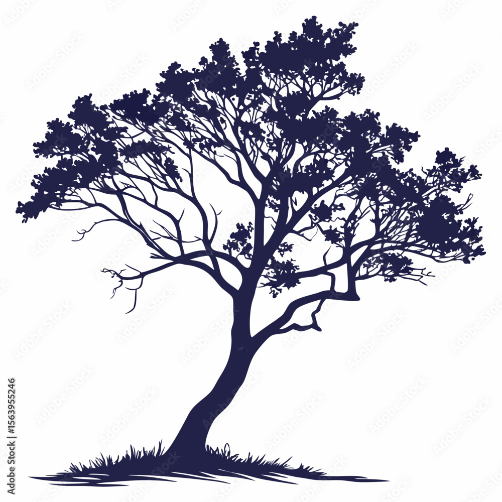 Obraz premium tree silhouette vector