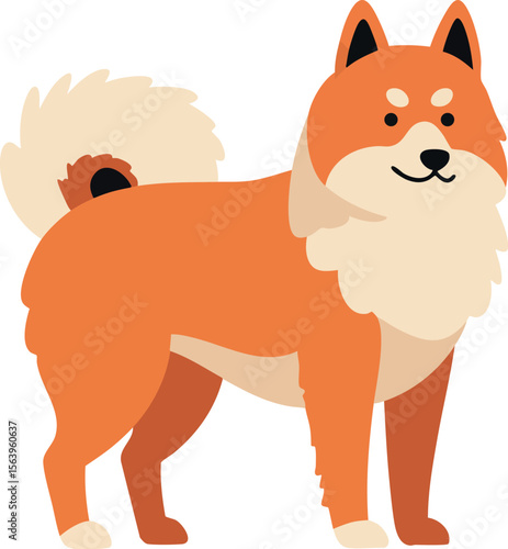 Shiba Inu dog standing with fluffy tail and upright ears in cartoon style vector illustration