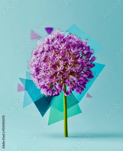 Vibrant Purple Flower with Geometric Accents on Teal Background