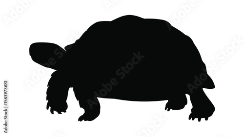 Black silhouette of a tortoise walking on a white background