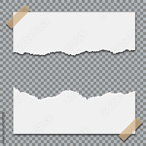 Realistic torn paper edge with rough texture, blank ripped sheet isolated on transparent background for scrapbooking, design overlays, or photo collages