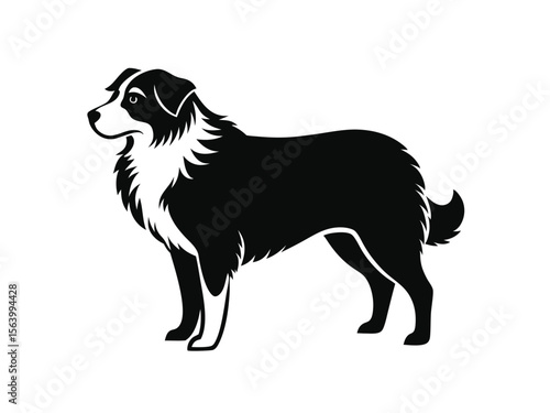 Australian Shepherd dog silhouette vector illustration, pet clipart, black and white animal shape