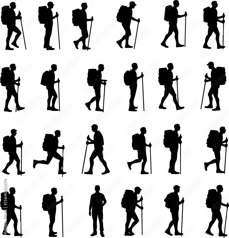 Obraz premium Heraldic Crowns, Shields, and Lion Silhouettes vector bundle