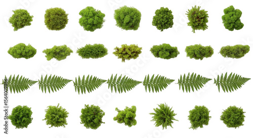 Wallpaper Mural Variety of Green Moss and Fern Elements, Ideal for Nature-themed Designs and Eco-friendly Projects, isolated on a transparent background Torontodigital.ca