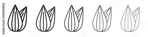 Almond icon. modern outline style vector icons series