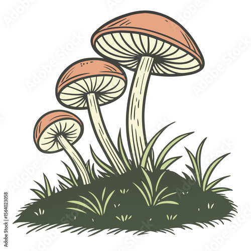 Mushroom cluster illustration, vector design, botanical art, nature and foraging concept