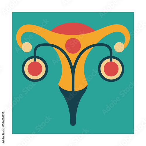 Uterus ovaries