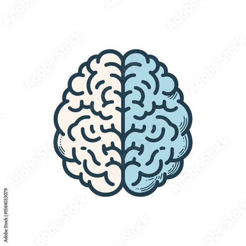 Detailed illustration of a human brain split into two halves, showcasing different colors and textures, symbolizing creativity and logic, with a simple background emphasizing the brain's features