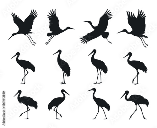 Collection of Black and White Crane Silhouettes in Various Poses cranes flight standing positions crane bird silhouette wildlife nature black white flying standing