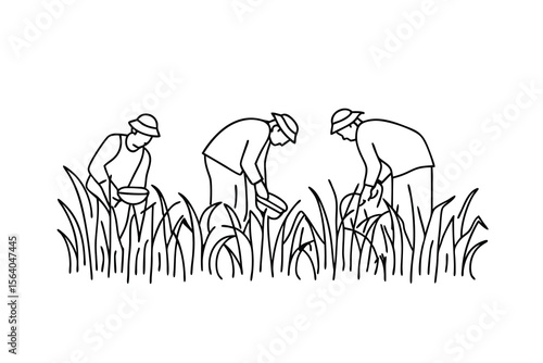 Farmers harvesting crops in a field agriculture