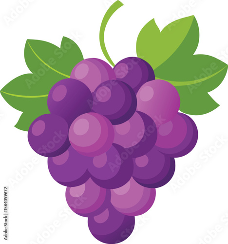 vector illustration of grapes