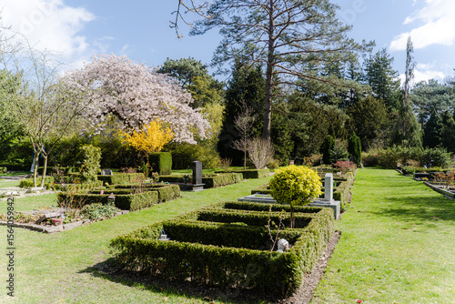 Graves in the park. Cemetery against the backdrop of flowering trees in sunny weather.