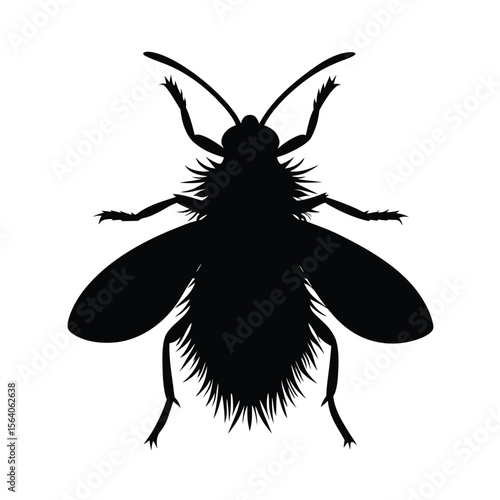 planthopper nymph silhouette vector