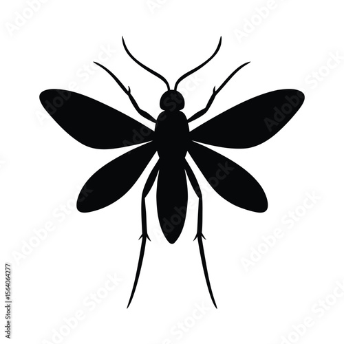 fungus gnat silhouette vector