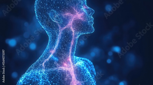 Vagus nerve health improvement guide biohacking breath meditation HRV routine digestion calm emotional balance wellness support personal autonomic system optimization plan