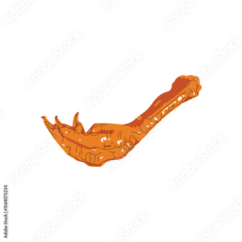 Chicken Feet Cartoon Illustration Logo
animal hen foot vector, Dakbal Korean Spicy Chicken Feet Illustration Logo, Asian Food, Ayam Ceker. Delicious Homemade Tasty Traditional Food