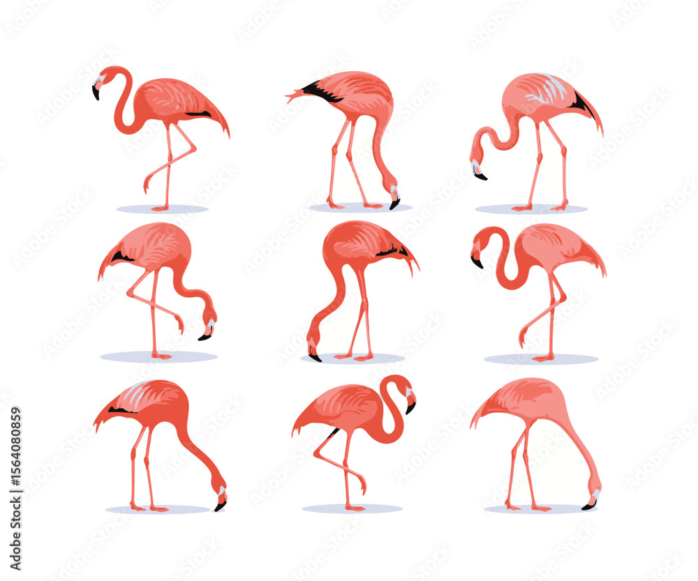 Naklejka premium Collection of nine pink flamingos in various poses on a white background