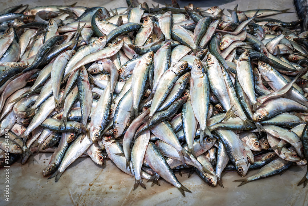 Fototapeta premium fresh seafood at fish market in negombo, sardines, lellama, negombo, lagoon, sri lanka