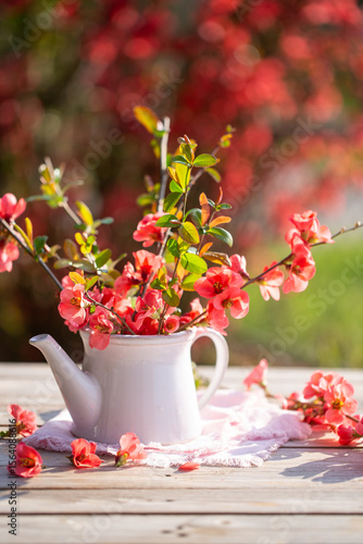 Rametti di cydonia di colore rosso su una teiera di ceramica posato su un tavolo di legno all'aperto con sullo sfondo una pianta di cydonia sfocata