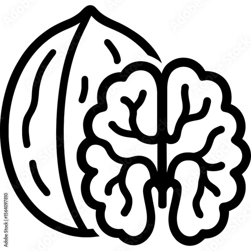 Walnut outline icon vector