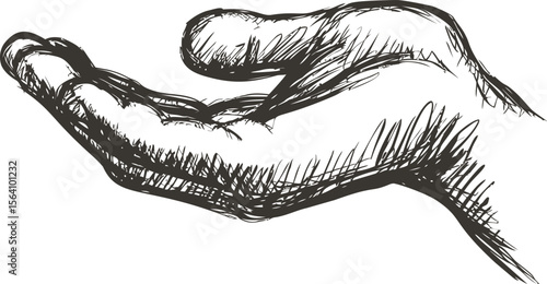 Sketch of an open human hand with detailed shading and crosshatch patterns. Vector illustration