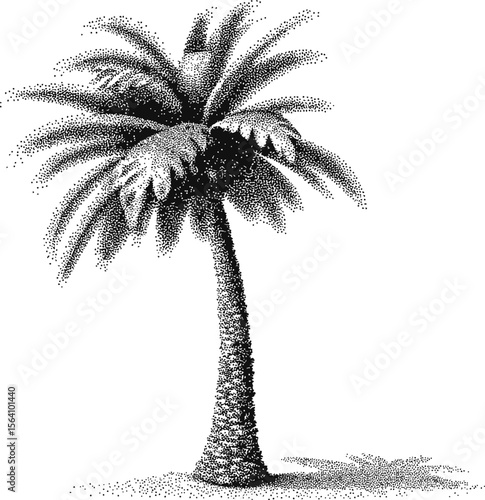 Detailed black and white pointillism of a palm tree with intricate shadows. Vector illustration