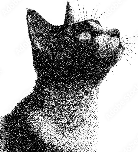 Pointillism style black cat looking up with detailed texture on white background. Vector illustration