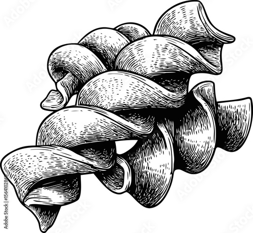Detailed black and white drawing of twisted pasta shape. Vector illustration in sketch style