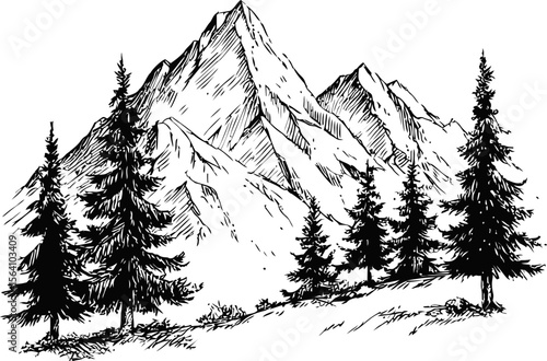 Mountain landscape with evergreen trees in detailed black and white. Vector illustration in sketch style