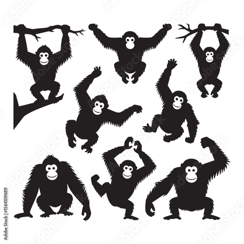 Set Of Orangutan Silhouettes In Different Poses On White Background Graphic Animal Illustration Vector Illustration Mammal Wildlife Icon Sign Element