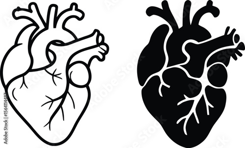 Stylized anatomical heart outline and silhouette icons isolated on white