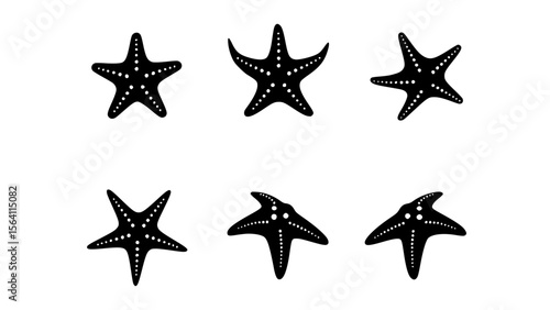A captivating array of black starfish arranged in different positions against a clean backdrop