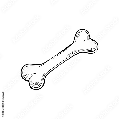 Vintage bone illustration in black and white