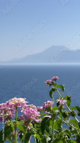 Calm nature  view with sea and flowers by the coast