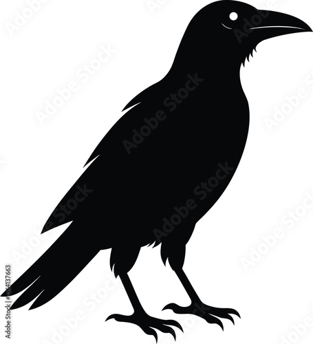 Stylized silhouette of a raven or crow. Black vector graphic of a corvid bird, a symbol of magic, wisdom, and omens. Gothic illustration for Halloween, isolated on a white background.