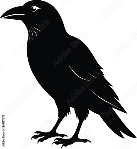 Raven Crow Silhouette | Gothic Bird & Magic Omen Symbol