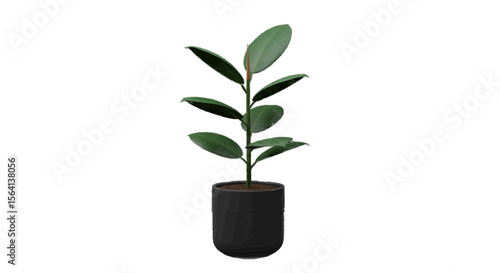 3d green plant in a pot