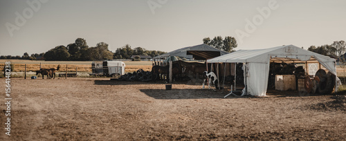 A large country square with tents and horses grazing in the distance, under a vast, bright sky, on a sunny summer day, ideal for horseback riding