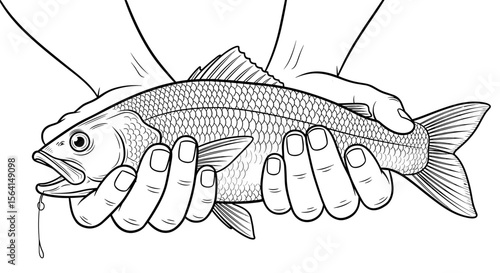 Hands holding a freshly caught fish in a detailed line drawing style