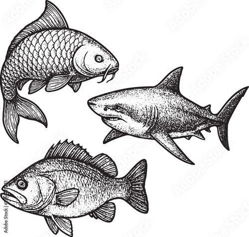 Underwater Diversity: Hand-Drawn Fish Collection