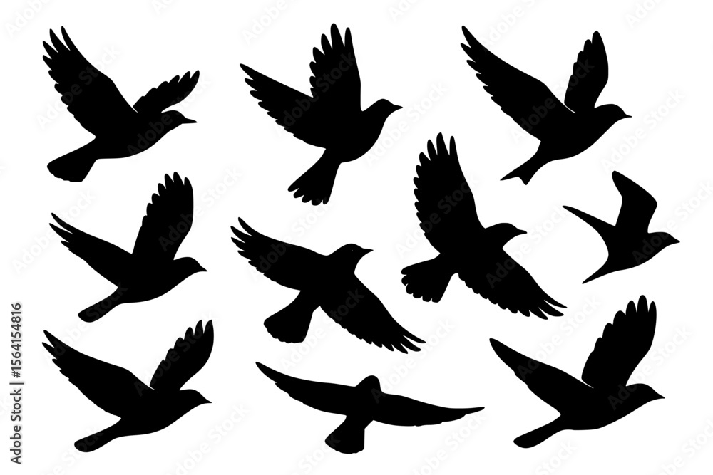 Silhouettes of Birds in Flight, Black Color Isolated on White Background Silhouettes of Birds in Flight, Black Color Isolated on White Background