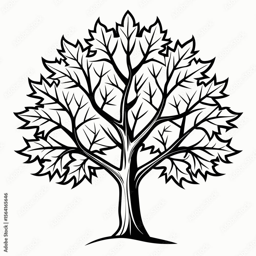 Obraz premium maple tree with roots