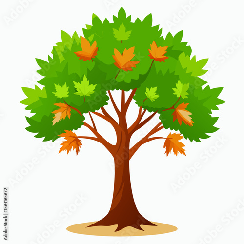 Maple tree vector