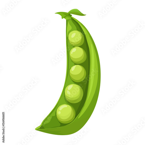 My A Simple flat 2D illustration green pea pod isolated on transparent background, vector, flat design, animation design, simple flat 2D icon, clipart, flat 2D vector, design by me. vector icon