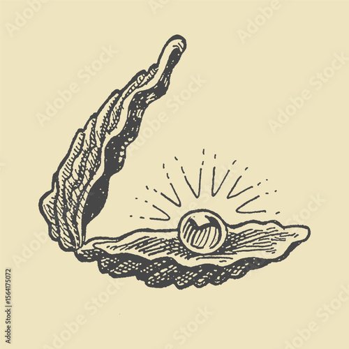 Hand-drawn oyster shell with a precious pearl inside, vintage engraving style. Ideal for marine, luxury, and jewelry designs in classic monochrome.