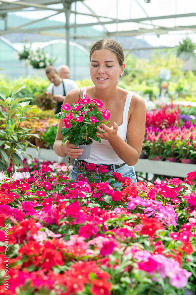 Portrait of satisfied woman with Vinca flowers in a flower pot Portrait of satisfied woman with Vinca flowers in a flower pot