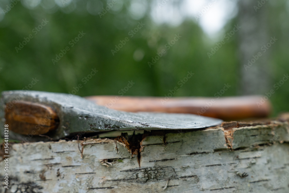 Fototapeta premium Austrian axe in green forest close up