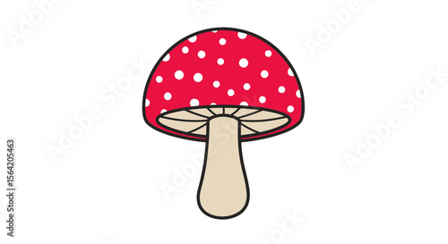 Vector amanita muscaria mushroom illustration, red and white spotted toadstool, forest fungi drawing design