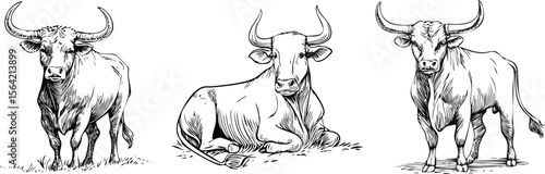 Dynamic Bulls: Illustrative Sketch Collection, Hand-Drawn Action Poses