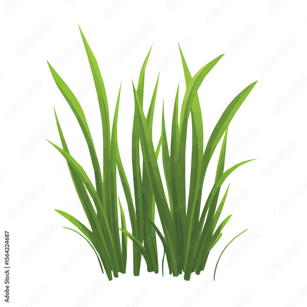 Obraz premium My A Simple flat 2D illustration grass blades isolated on transparent background, vector, flat design, animation design, simple flat 2D icon, clipart, design by me. My vector design